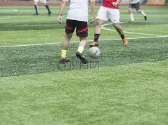 展望,戴维斯复出,助勒布朗战,平博体育官网,平博体育平台,平博体育链接,平博体育官方