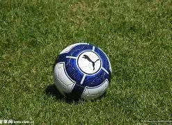 崔永熙出战,篮网遭尼克,斯逆转,平博体育官网,平博体育平台,平博体育链接,平博体育官方